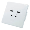 BirdDog Wallplate Dual Input - Coremicro