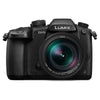 Panasonic Lumix DC-GH5 4K Mirrorless MFT Digital Camera - Coremicro